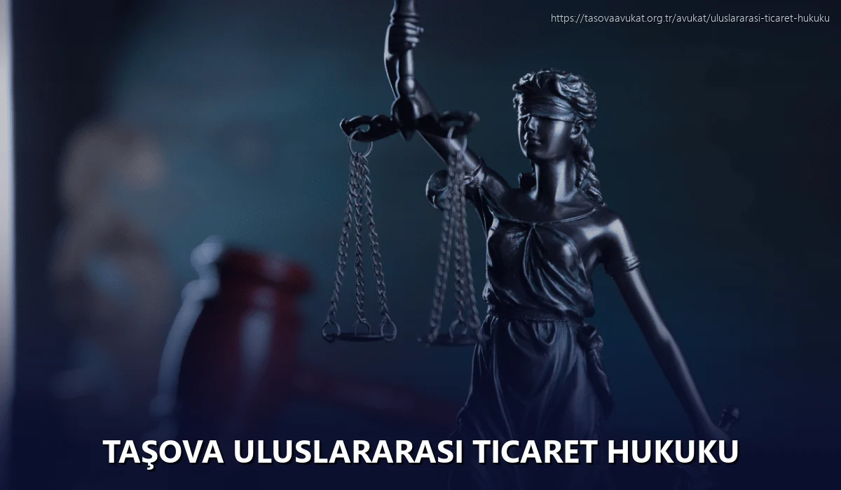 Taşova Uluslararası Ticaret Hukuku